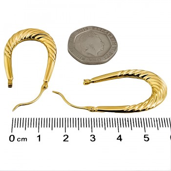 9ct gold 2g Hoop Earrings